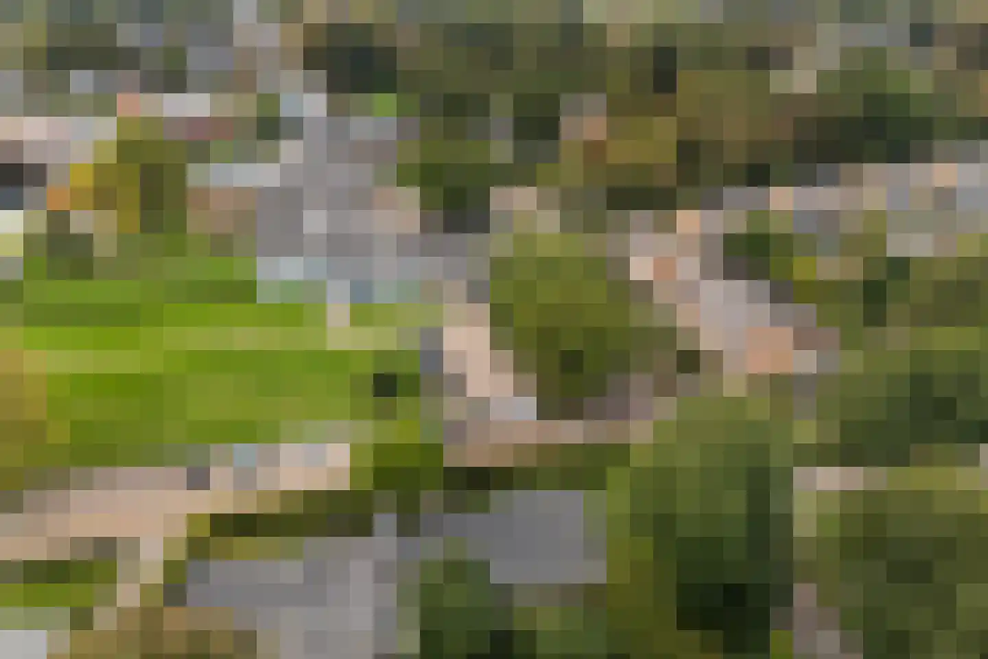 S. Antonidesstrjitte 1 Feanwâlden thumbnail 42