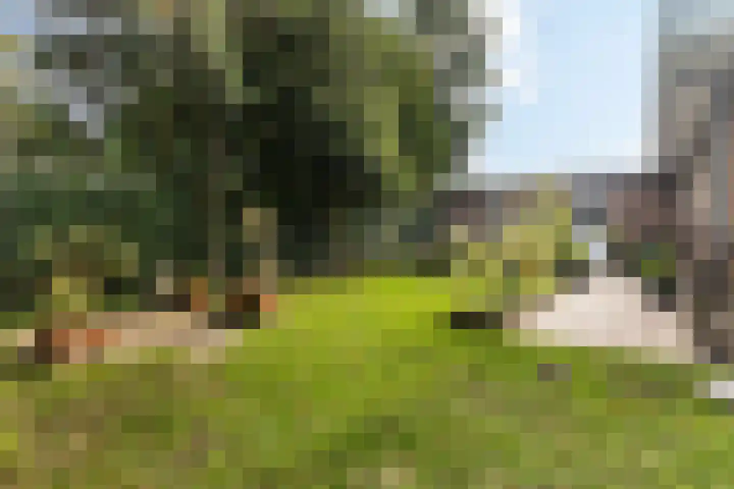 S. Antonidesstrjitte 1 Feanwâlden thumbnail 7