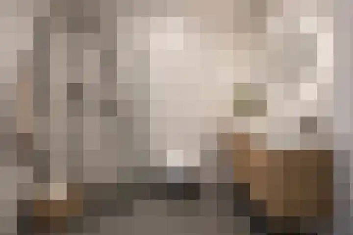 S. Brandsmalaan 28 St.-Annaparochie thumbnail 29