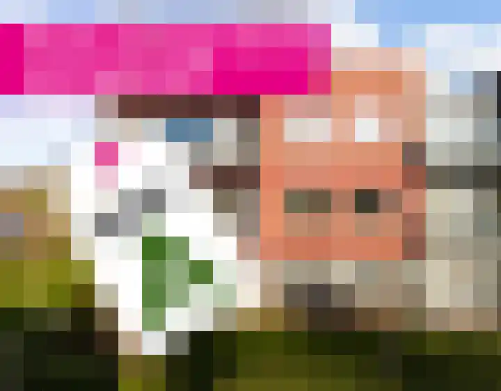 S. Brandsmalaan 28 St.-Annaparochie thumbnail 45