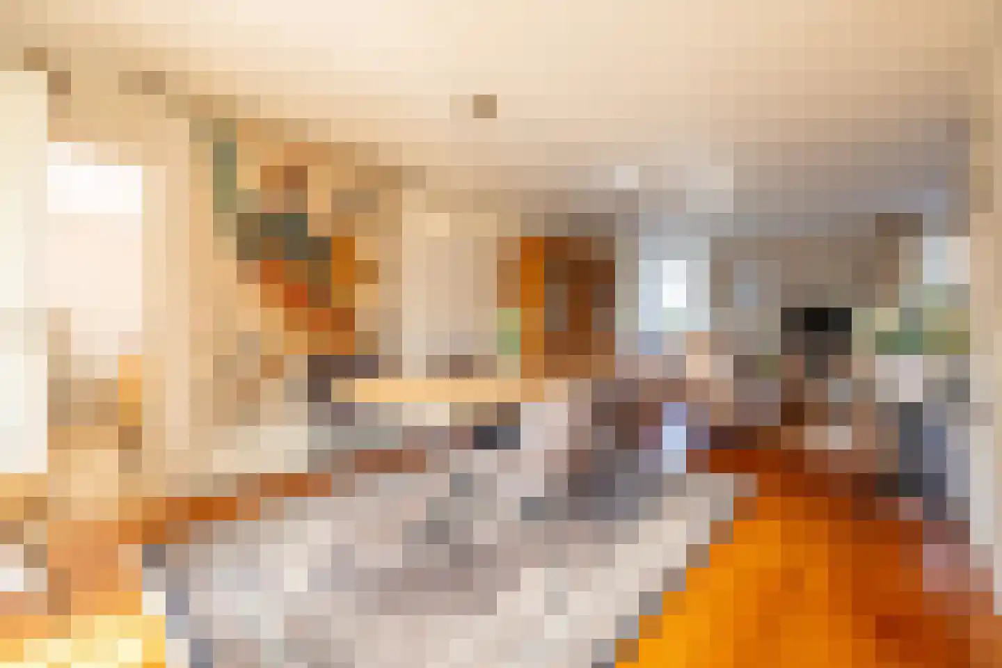S.E. Wendelaar Bongastrjitte 4 Dokkum thumbnail 12