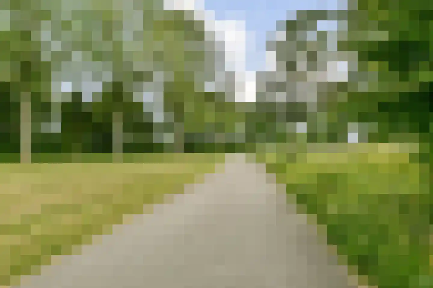 S. F. van Ossstraat 172 Amsterdam thumbnail 26