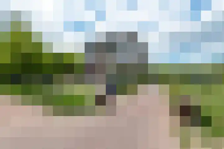 S. F. van Ossstraat 226 in Amsterdam