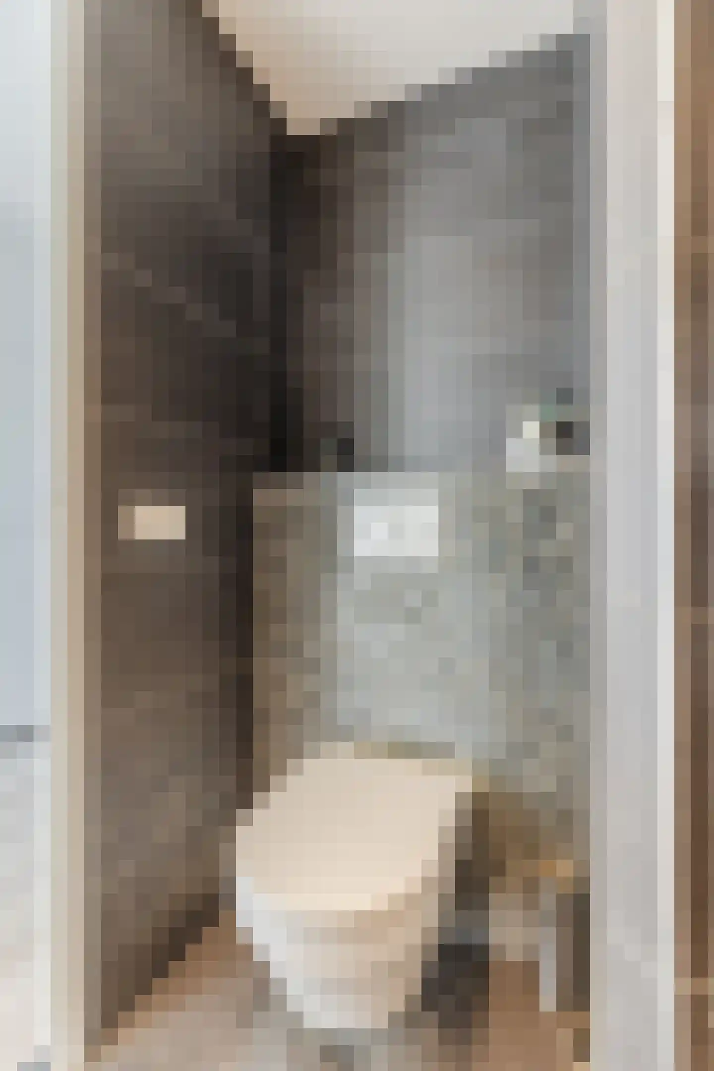 S. F. van Ossstraat 318 Amsterdam thumbnail 22