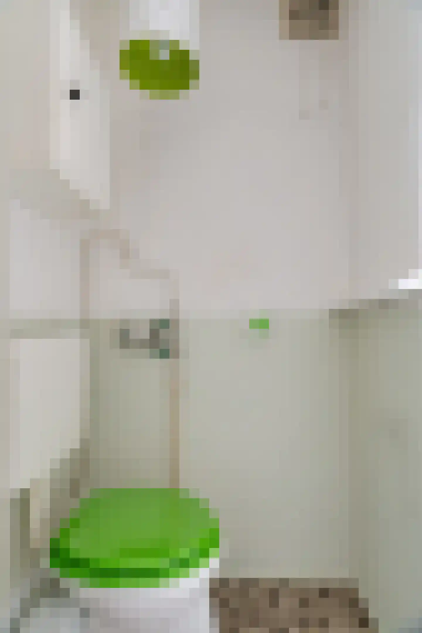 S. F. van Ossstraat 342 Amsterdam thumbnail 28