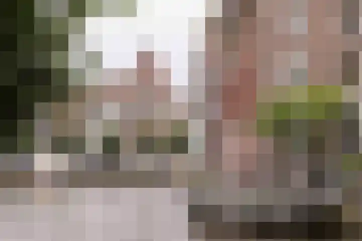 's-Gravelandse Veer 6 3 Amsterdam thumbnail 26