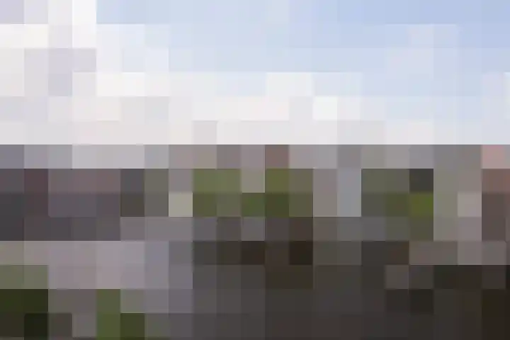's-Gravelandse Veer 6 3 Amsterdam thumbnail 27