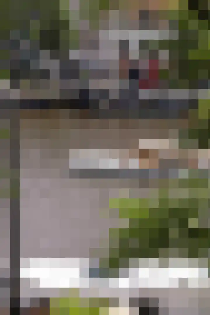 's-Gravelandse Veer 6 3 Amsterdam thumbnail 5