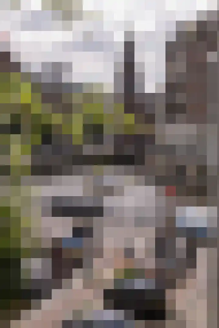 's-Gravelandse Veer 6 3 Amsterdam thumbnail 7