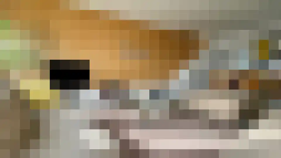 's-Gravelandse Veer 7 Amsterdam thumbnail 4