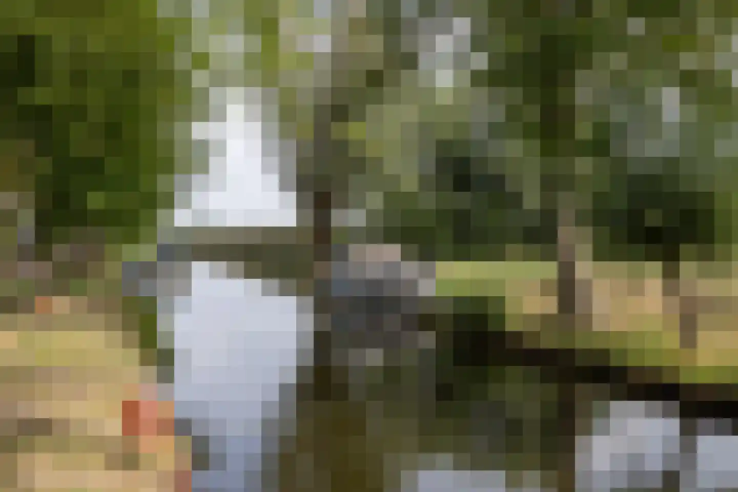 's-Gravelandsevaartweg 2 Loosdrecht thumbnail 58