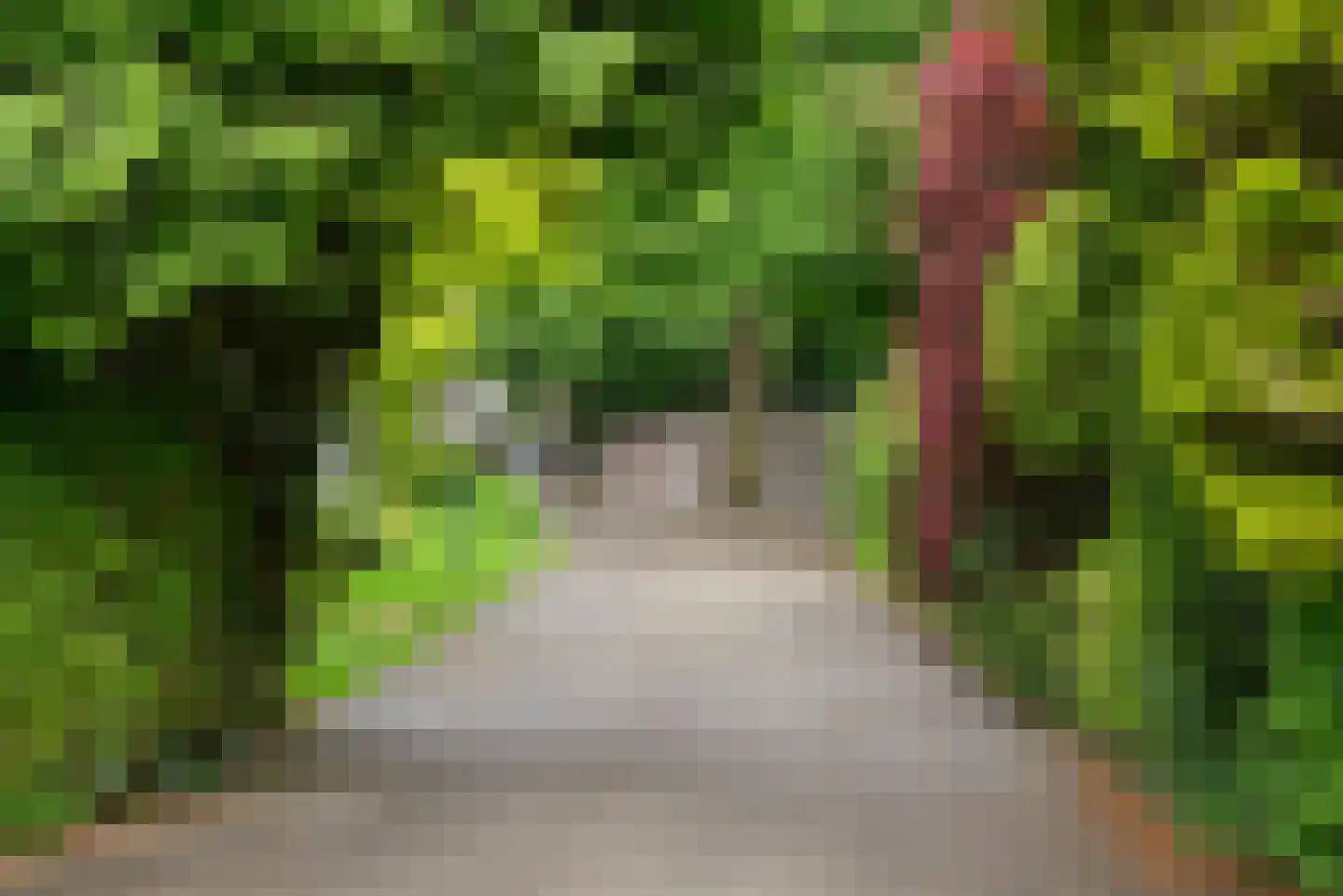 's-Gravelandseweg 108 Hilversum thumbnail 19