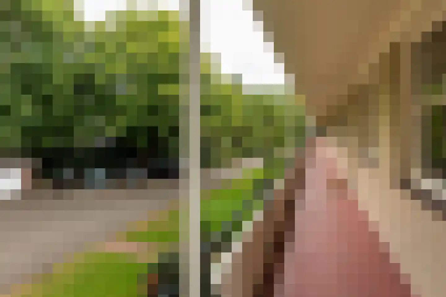 's-Gravelandseweg 114 Hilversum thumbnail 21