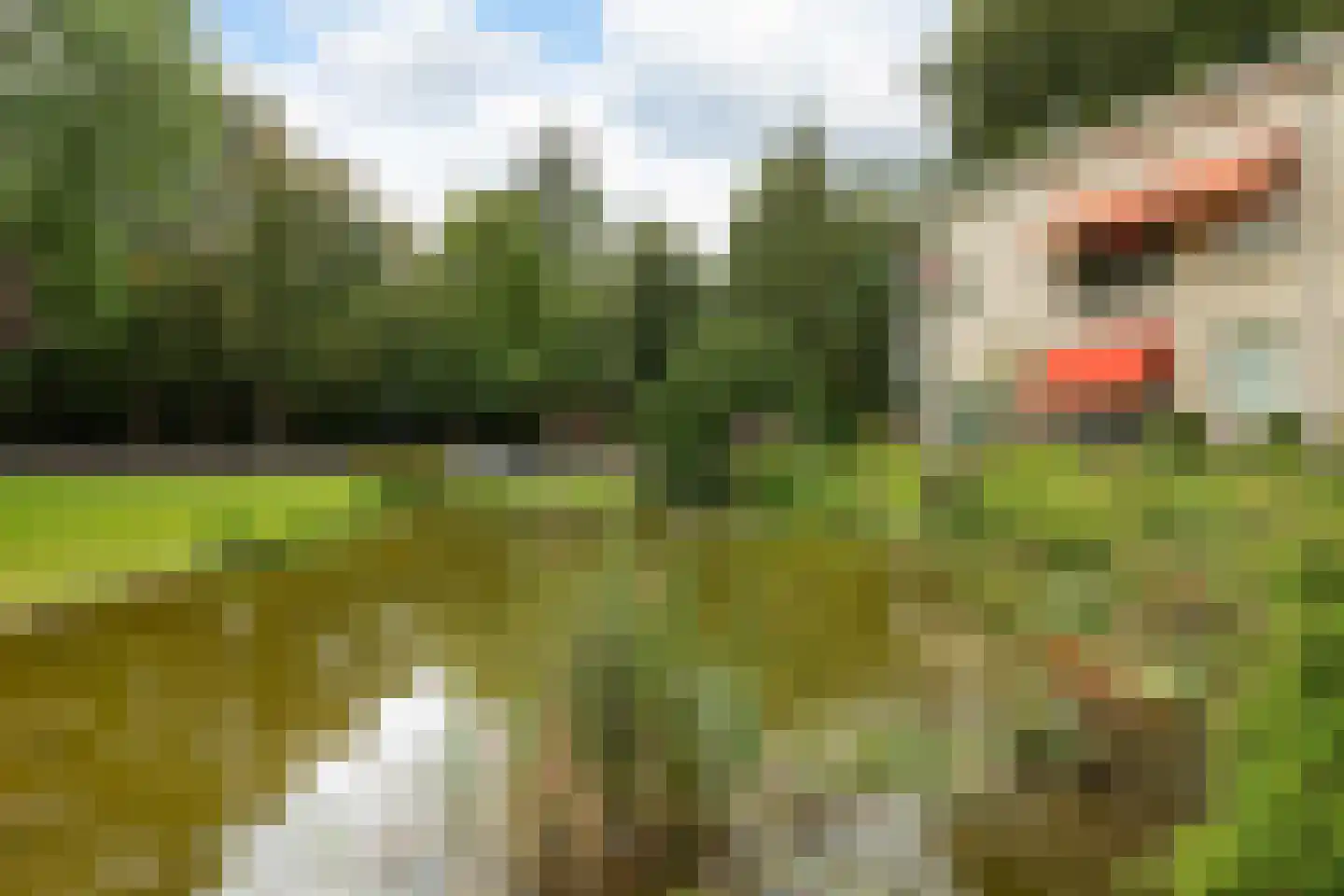 's-Gravelandseweg 114 Hilversum thumbnail 29