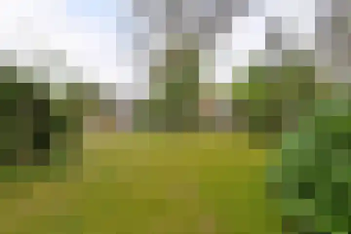 's-Gravelandseweg 141 Hilversum thumbnail 21