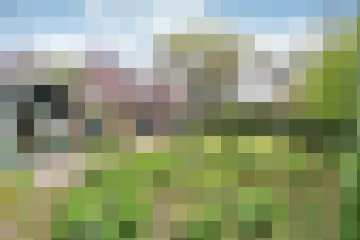's-Gravelandseweg 141 Hilversum thumbnail 26