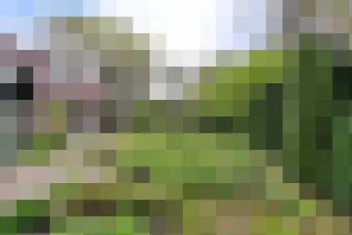 's-Gravelandseweg 141 Hilversum thumbnail 27