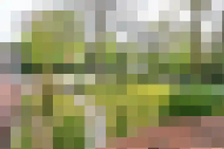 's-Gravelandseweg 141 Hilversum thumbnail 28
