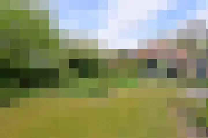 's-Gravelandseweg 141 Hilversum thumbnail 29