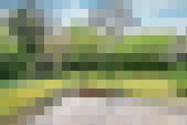 's-Gravelandseweg 141 Hilversum thumbnail 30