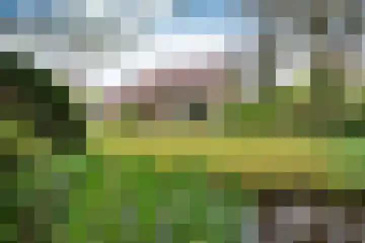 's-Gravelandseweg 141 Hilversum thumbnail 32