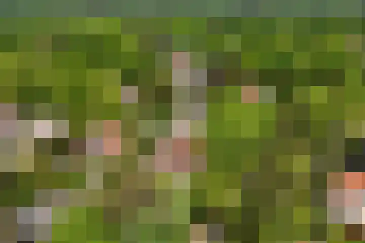 's-Gravelandseweg 141 Hilversum thumbnail 33