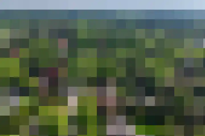 's-Gravelandseweg 141 Hilversum thumbnail 35