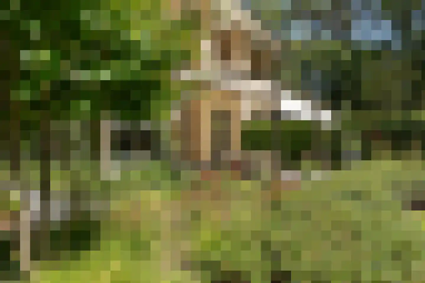 's-Gravelandseweg 149 Hilversum thumbnail 36