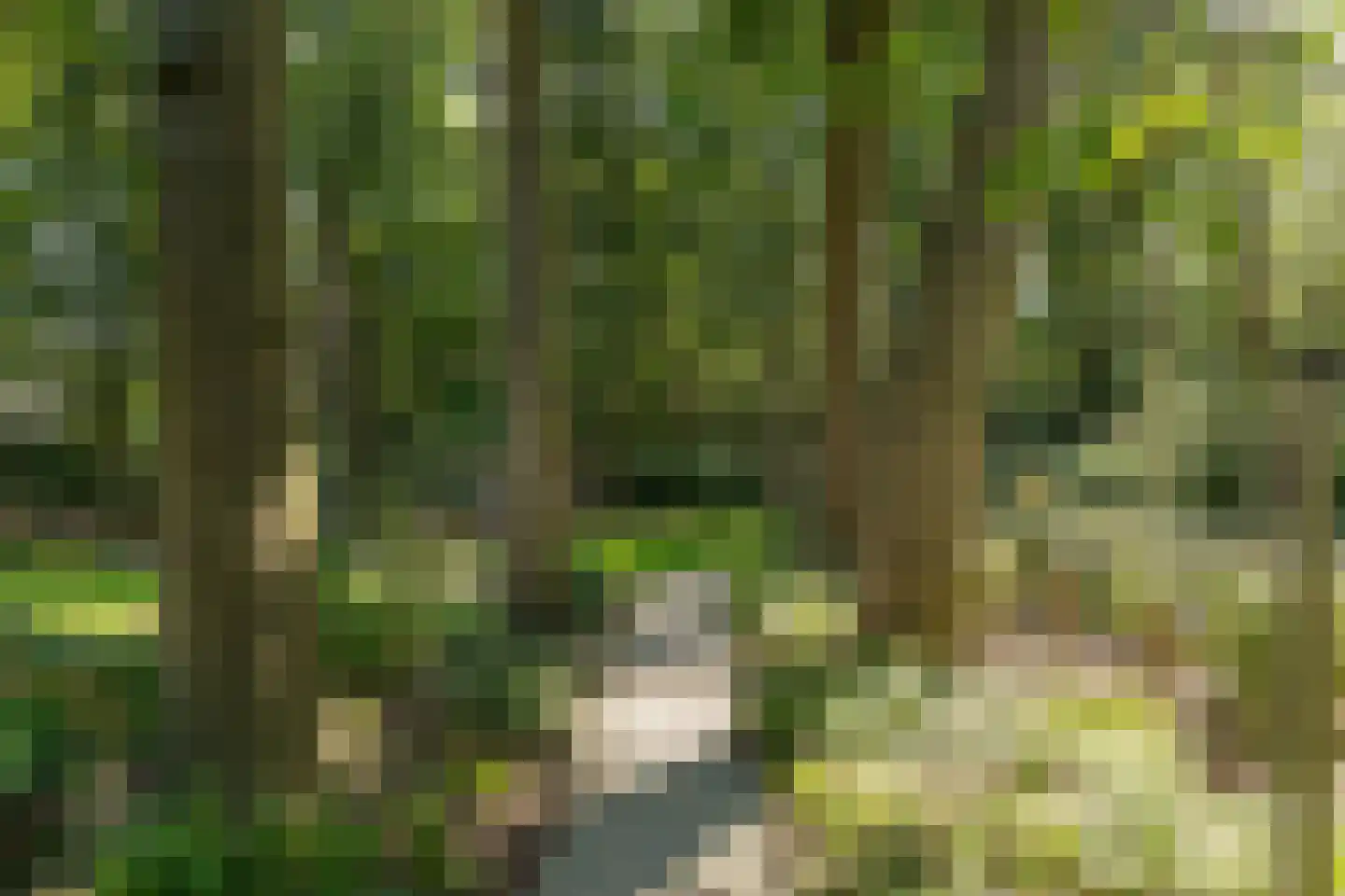 's-Gravelandseweg 149 Hilversum thumbnail 38