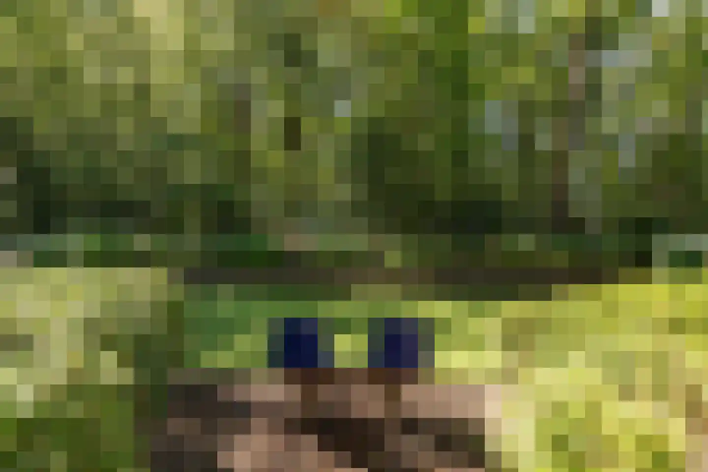 's-Gravelandseweg 149 Hilversum thumbnail 39