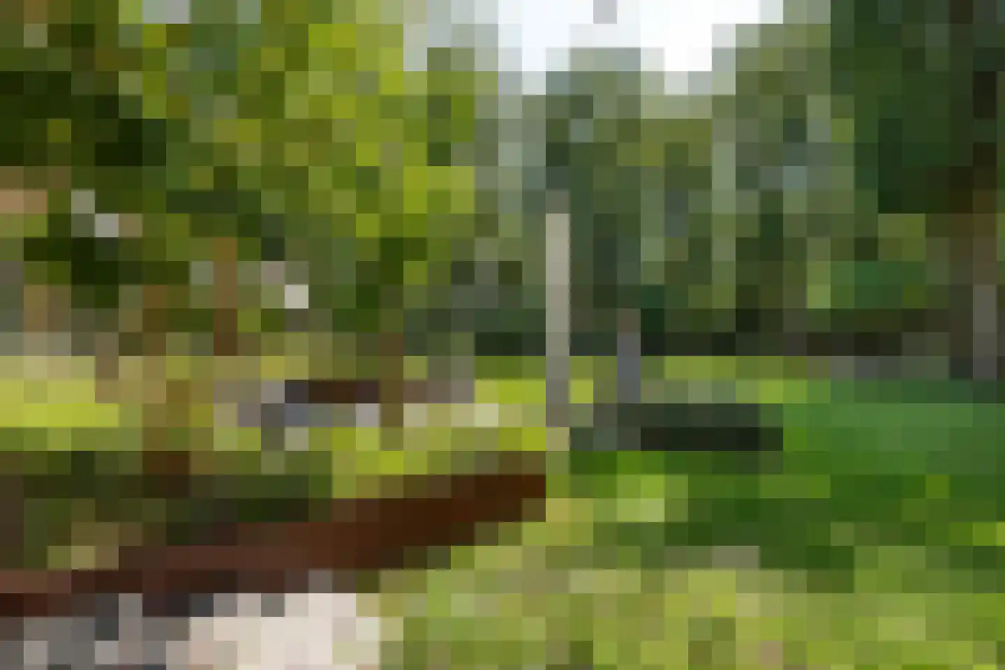 's-Gravelandseweg 149 Hilversum thumbnail 41
