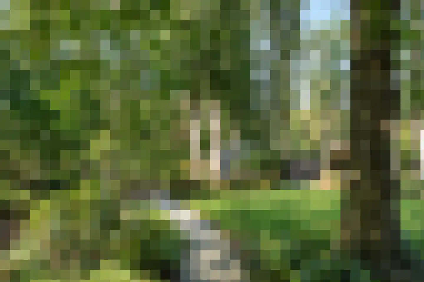 's-Gravelandseweg 149 Hilversum thumbnail 42