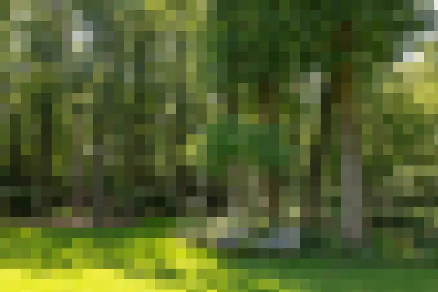 's-Gravelandseweg 149 Hilversum thumbnail 43
