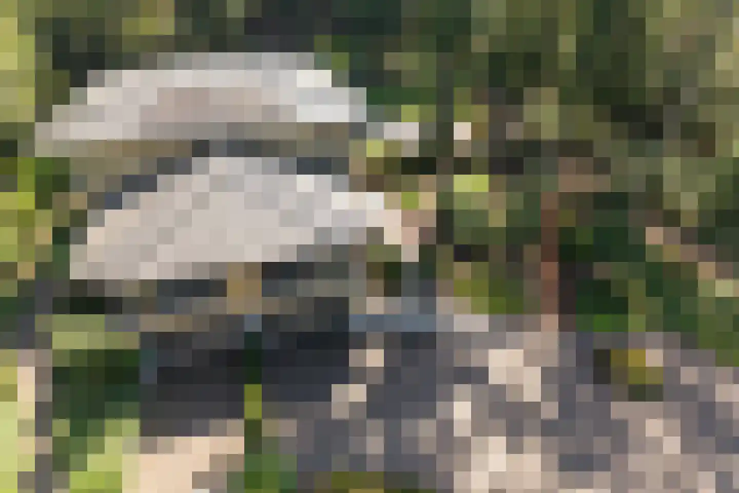 's-Gravelandseweg 149 Hilversum thumbnail 49
