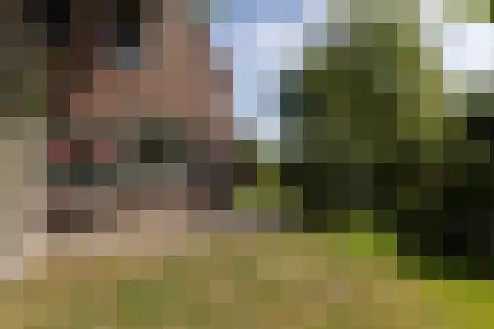 's-Gravelandseweg 15 Weesp thumbnail 10