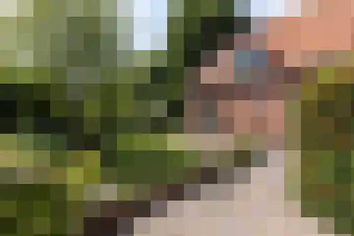 's-Gravelandseweg 15 Weesp thumbnail 12