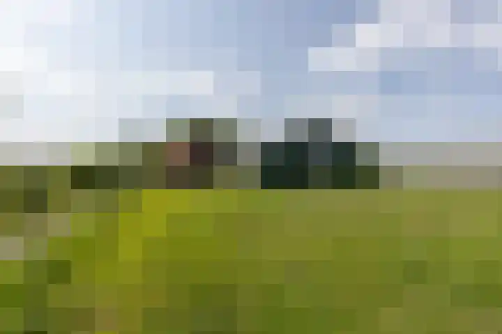 's-Gravelandseweg 15 Weesp thumbnail 17