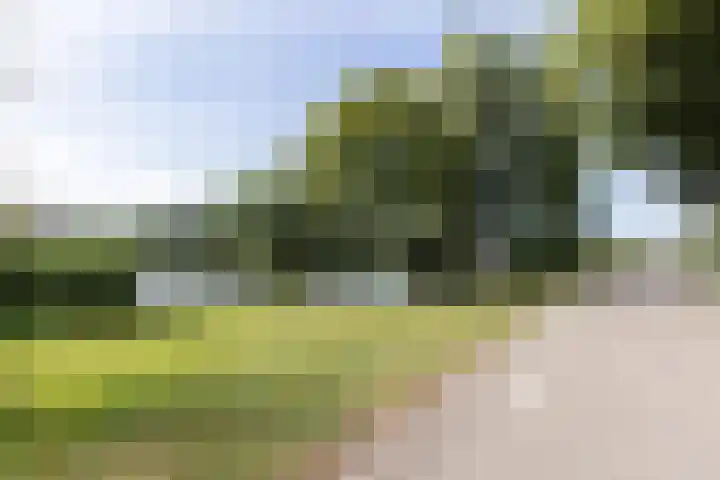 's-Gravelandseweg 15 Weesp thumbnail 4