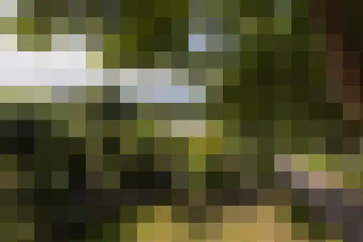 's-Gravelandseweg 15 Weesp thumbnail 41