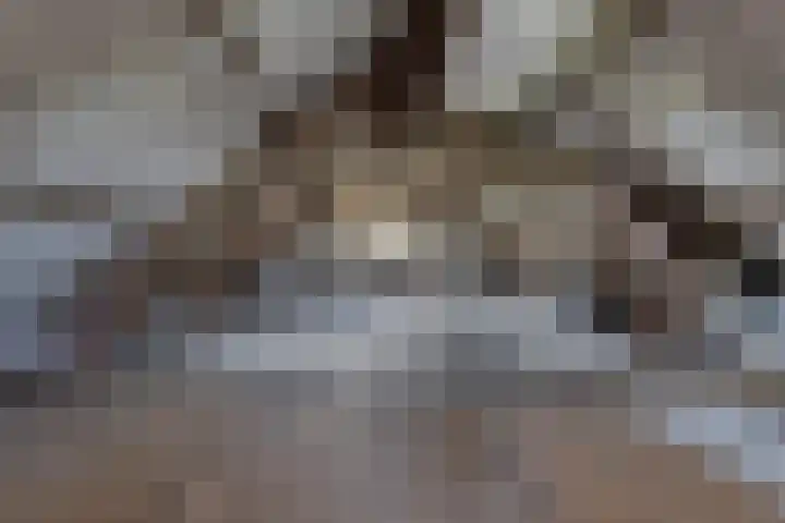 's-Gravelandseweg 15 Weesp thumbnail 48