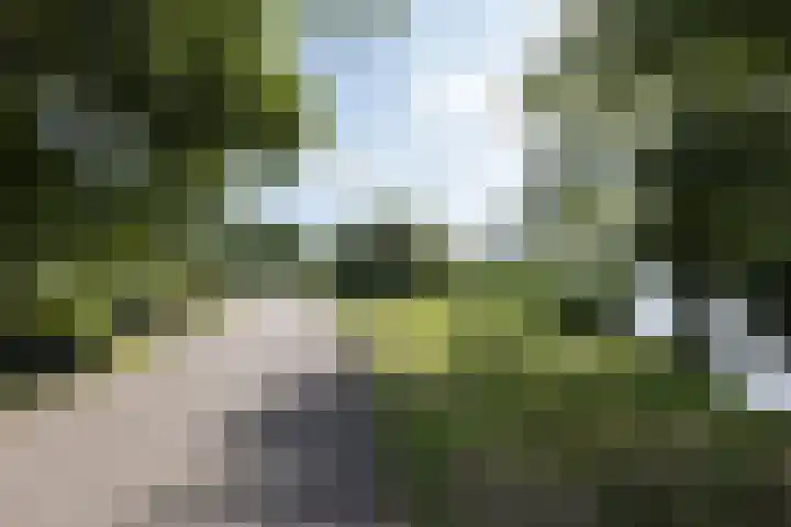 's-Gravelandseweg 15 Weesp thumbnail 5