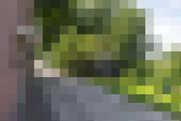 's-Gravelandseweg 15 Weesp thumbnail 58