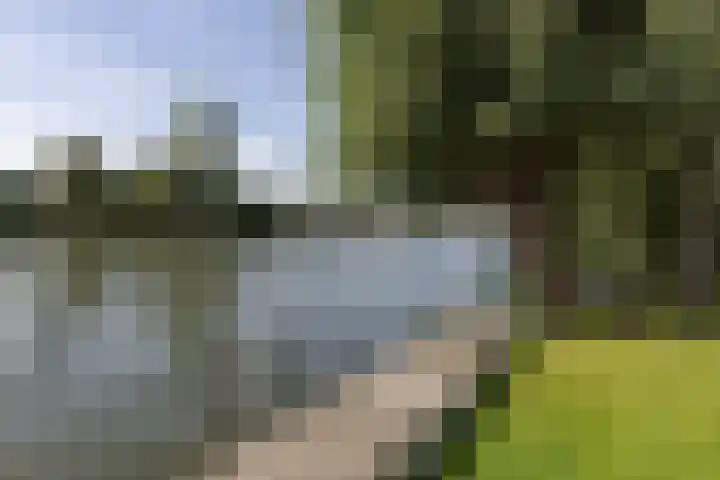 's-Gravelandseweg 15 Weesp thumbnail 6