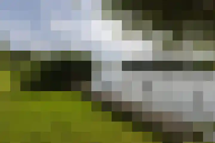 's-Gravelandseweg 15 Weesp thumbnail 60