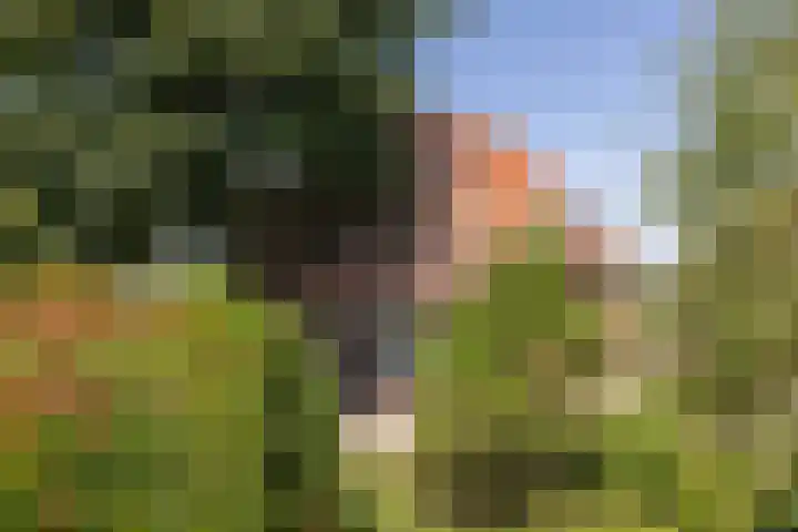 's-Gravelandseweg 15 Weesp thumbnail 8