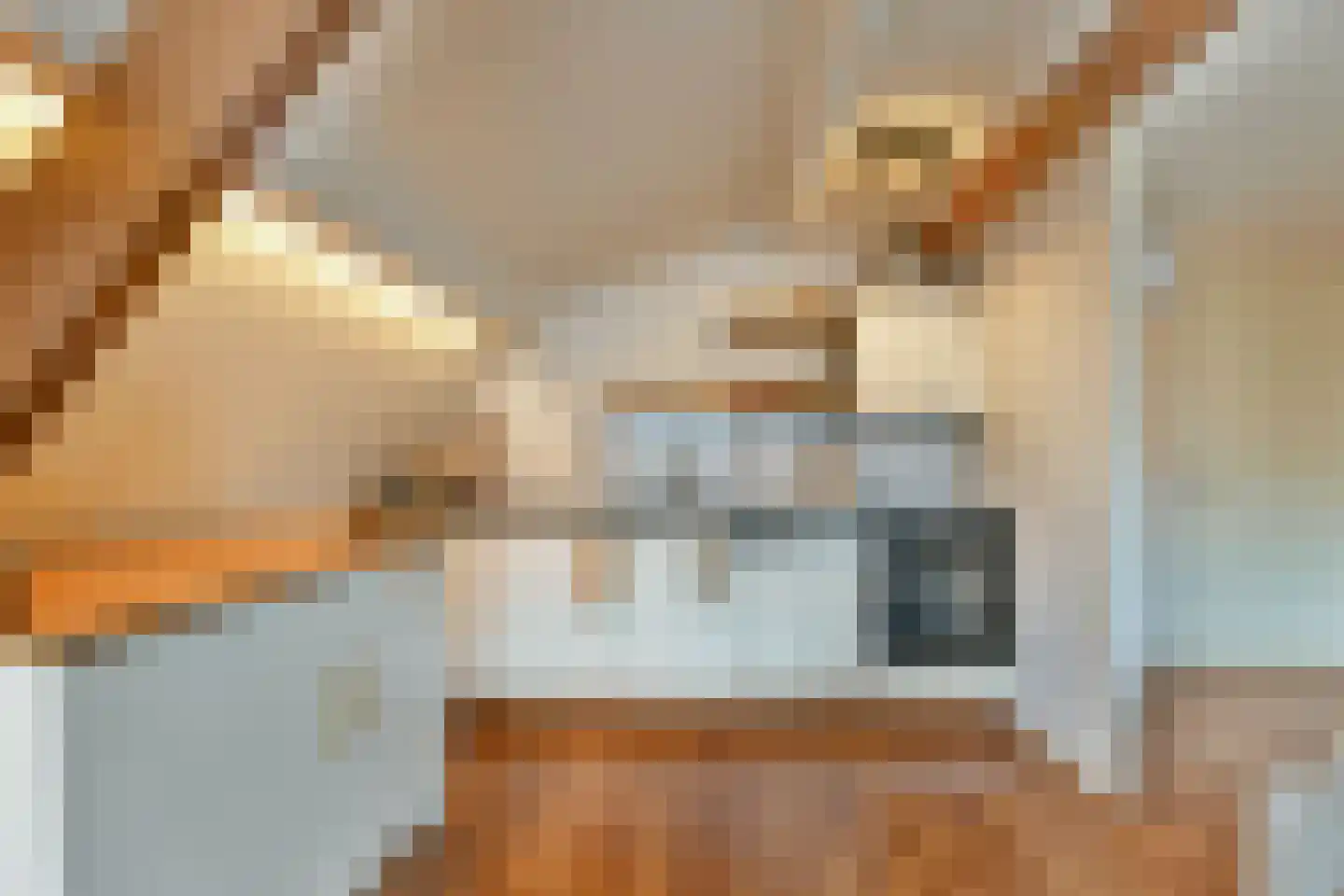 's-Gravelandseweg 32 7 Hilversum thumbnail 10