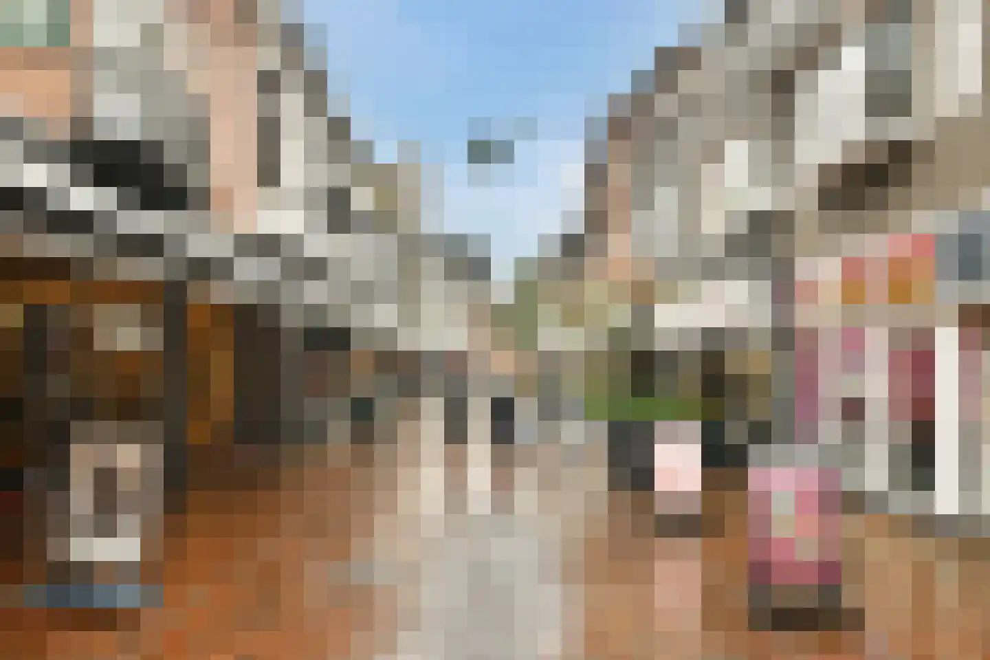 's-Gravelandseweg 32 7 Hilversum thumbnail 27