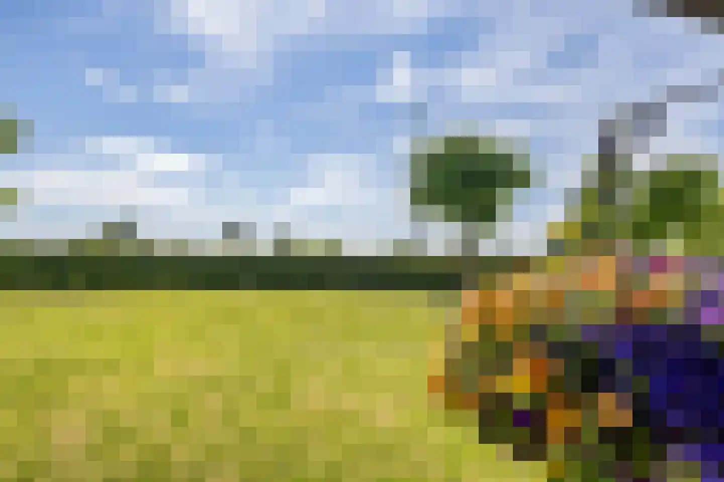 's-Gravelandseweg 38 Weesp thumbnail 43