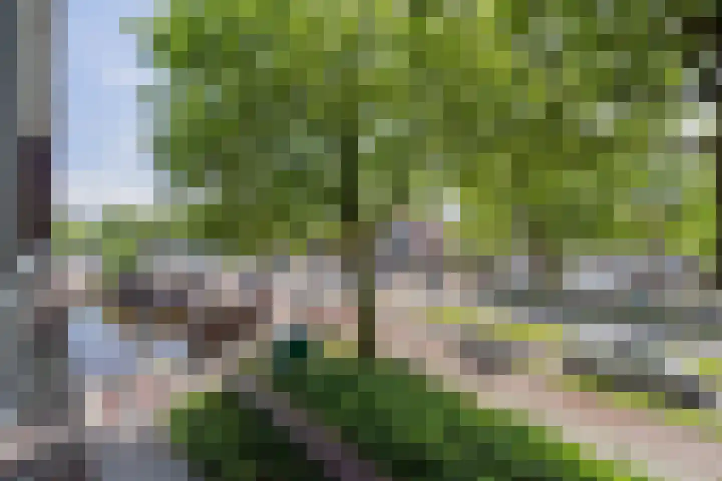 's-Gravelandseweg 593 Schiedam thumbnail 25