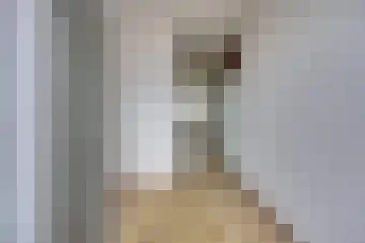 's-Gravelandseweg 633 Schiedam thumbnail 8